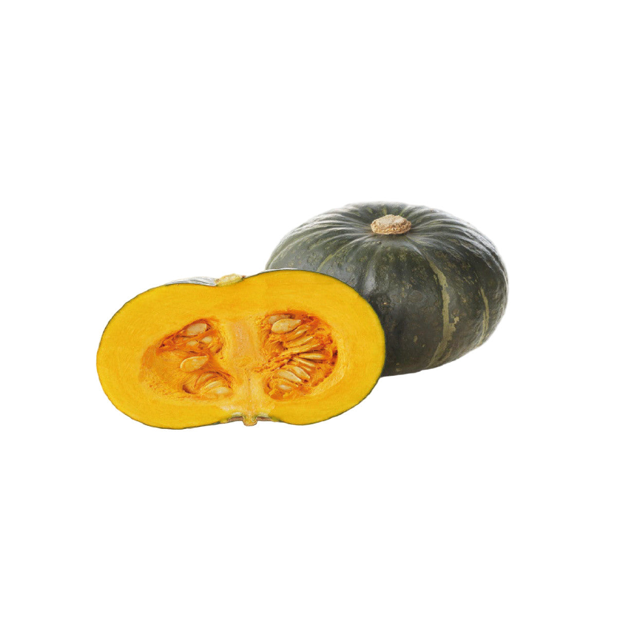 Delica Pumpkin 1 Piece